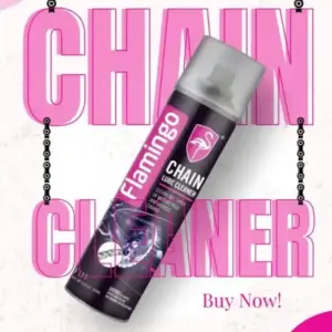 Flamingo Chain Clean | Effective Motorcycle Chain Cleaner